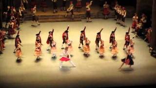 Character dances in Don Quixote Bolshoi Ballet  Palais Garnier 14th May evening 2011 [upl. by Ayekram]