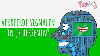 VERKEERDE SIGNALEN – TOPDOKS ANIMATIE [upl. by Mcclary228]