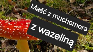 Maść z muchomora na bazie wazeliny 🍄 [upl. by Atteiram]