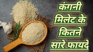 Advantages of Kangni MileBenefits of Kangni Millet raiseunderstanding [upl. by Bovill942]