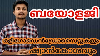 മയലിൻ ഷീത്ത്  Myelin Sheath  Biology  10th Class  Sensations And Responses [upl. by Evvy]