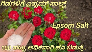 Epsom salt ರೂಪಾಯಿ ಖರ್ಚಿಲ್ಲದೆ ಮನೆಯಲ್ಲೇ ತಯಾರಿಸಿ how to use Epsom Salt for plants [upl. by Neltiac287]