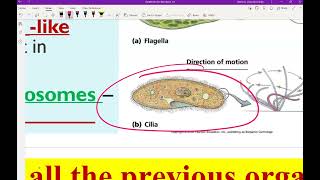 Organelle Notes Part 2 [upl. by Goodrich239]