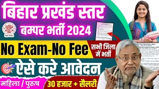 bihar aspirational blocks vacancy 2024  bihar abp new vacancy 2024  bihar district level vacancy [upl. by Bonita]