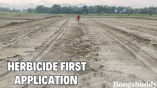 Herbicide first application ricefarmers farming ricefarming [upl. by Chesnut]