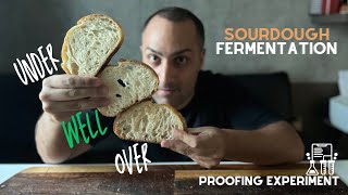 Proofing Time l Fermentation Sourdough [upl. by Nobel63]