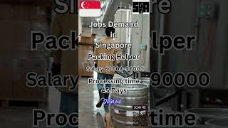 Jobs opening in Singapore  Tamil Packing helper 2024  singaporejobsforindians tamiljobs [upl. by Eberto618]