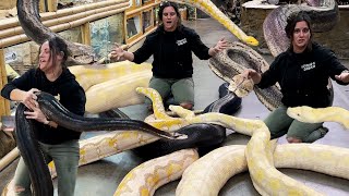 Moving GIANT Snakes at the Zoo😅🐍 [upl. by Nazler]