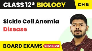 Class 12 Biology Ch 5  Sickle Cell Anemia Disease  Principles of Inheritance and Variation 202223 [upl. by Hewes]