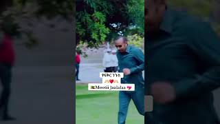 የፍቅር ንጉስ አቢይ አህመድ ethiopianmezmur begenaderdariw habesha abiyahmed orthodoxmezmur shorts [upl. by Nyledam]