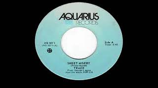 Teaze  Sweet Misery 1978 Canada [upl. by Ardnued768]