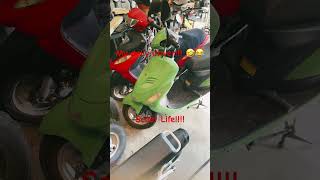 50cc Scooter Gang 😂🤣 [upl. by Jacobson]