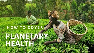 How to Cover Planetary Health  Mongabay Webinars [upl. by Arber]