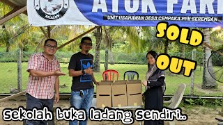 ✅️ BORONG 60 EKOR AYAM RHODE ISLAND PROJEK SEKURITI MAKANAN DI JOHOR [upl. by Dleifyar251]