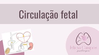 Circulação fetal [upl. by Kohn]