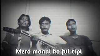 Mero Manai Ko Ful Tipi Cover Version  Sukmit MaGar  Dhanus Pun  Bimal Thaquri [upl. by Martha]