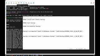 RMAN Level 0 amp Level 1 Backups for DBAs [upl. by Hacceber753]