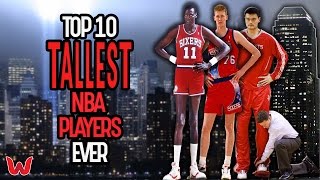 Top 10 Tallest NBA Players Ever [upl. by Epolenep]