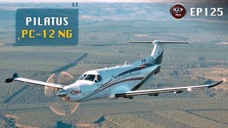 Monomotor com Jeito de Jatinho Conheça o Pilatus PC12 NG [upl. by Anerda]