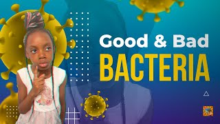 Good and Bad Bacteria Explained for Kids  Fun Learning About Helpful and Harmful Bacteria  Haven [upl. by Nixon]