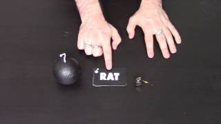 Pass The Bomb  A Dice Cup how to play video by Steve Raine [upl. by Valerio]