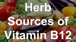 Herb Sources of Vitamin B12  Foods With Vitamin B12 [upl. by Enwad]