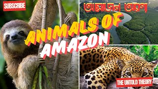 আমাজন অরণ্য  Animals of Amazon Amazon rain forest  The untold theory  Wild life of amazon [upl. by Bibi]