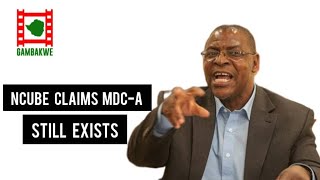 Welshman Ncube claims MDC Alliance still exists [upl. by Asum]