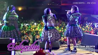 SABROSITAS DE LA HUAYLIA  en Concierto  CUSCO  2018 [upl. by Enieledam]