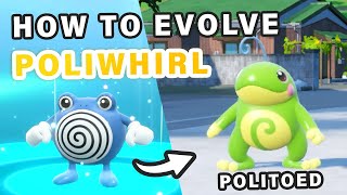 How to Evolve Poliwhirl into Politoed ► Pokemon Scarlet amp Violet [upl. by Ilellan]