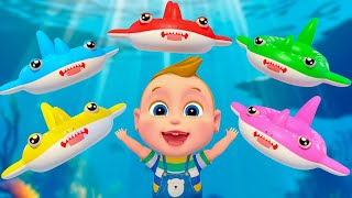 鯊魚寶寶  鯊魚大家族  兒歌 童謠  Baby Shark  Super Sumo  兒歌與童謠 Kids Song amp Nursery Rhymes [upl. by Gerstein]