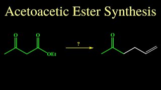 Acetoacetic Ester Synthesis [upl. by Crofoot304]