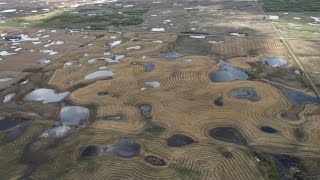 Mitigating Potential Impacts of Neonicotinoid Insecticides on Wetland Ecosystems [upl. by Cleodell]