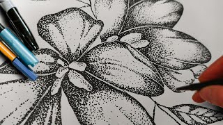 How to stipple  Stippling Art for Beginners Stippling flowers Easy [upl. by Airtemad]