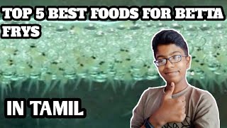 TOP 5 BEST FOODS FOR BETTA FISH IN TAMIL [upl. by Alleb875]