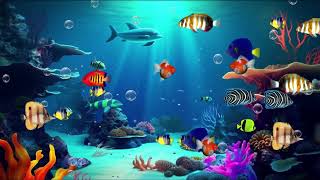 Gentle Baby Sleep Lullaby 🐟 Mozart Music for Babies to Sleep by Real Lullaby Music [upl. by Blanchette]