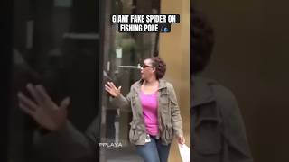 Giant fake spider on fishing pole funny lol fishing fish karen shortvideo shorts trending [upl. by Jago]