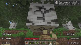 Speedruning a RADOM BLOCK in Minecraft [upl. by Haggerty930]