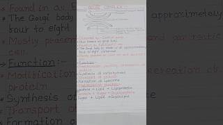 Golgi Apparatus Diagram  Golgi Apparatus Structure And Function [upl. by Ramedlav]