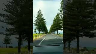 Hawkes Bay New Zealand newzealand newzealandtravel travelnewzealand [upl. by Armington]