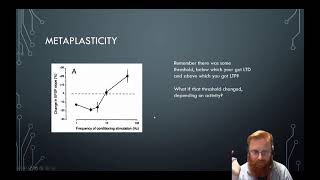 Neural Plasticity 8  Metaplasticity [upl. by Jonny892]