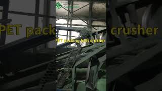 PET packing belt crusher  crushing machine [upl. by Yerkovich392]