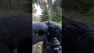 Beautiful AR15 ASMR In The Woods 🤙 warzone [upl. by Ycniuqal]