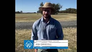 AWN Livestock amp Property Wimmera Market Report with Ash Driscoll – Livestock Sales Agent [upl. by Gnak149]