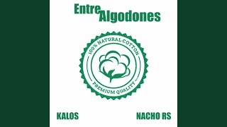 Entre Algodones [upl. by Aeel]