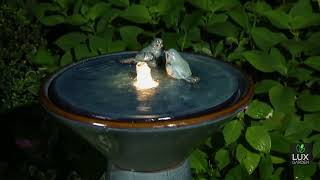 Fern Leaf Ceramic Birdbath Fountain [upl. by Seema]