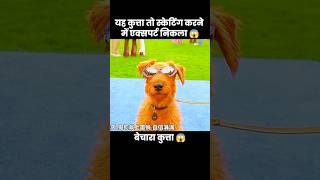 स्केटिंग का बादशाह 😎😱  short anime movie cartoon [upl. by Eninaj830]