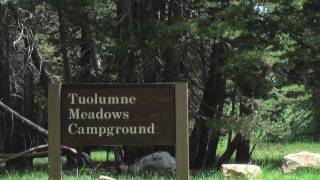 Tuolumne Meadows  Campground Tour [upl. by Penn603]