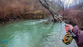 My First 20 Inch Trout of the YEAR Streamer Fly Fishing for Brown Trout [upl. by Amihsat88]