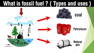 what is fossil fuel  types usespetroleum  coal  natural gas  in Hindi [upl. by Body371]